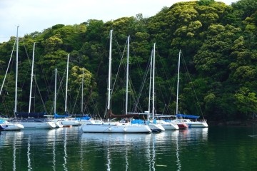 ���ԑ�̐X��w�i�ɕ����ԃN���u��