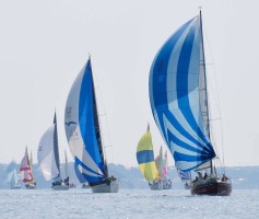 2016�N�@�N���u���[�XKFR�@���b�g���[�X�E�X�^�[�g����